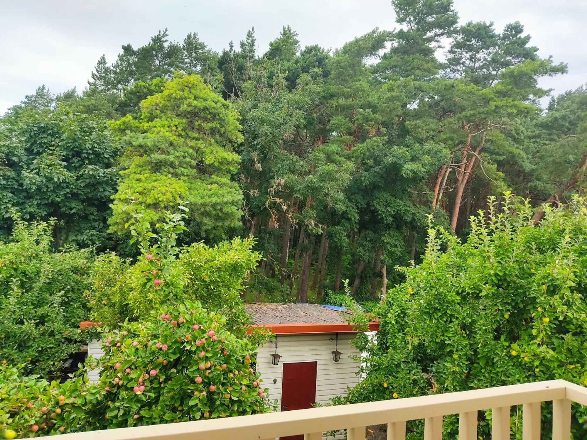 Kopa Cabana Palanga Exterior foto